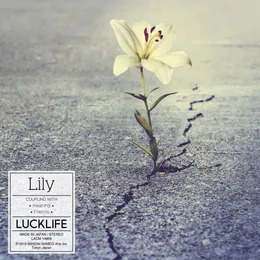 Lily von ラックライフ – Album Cover