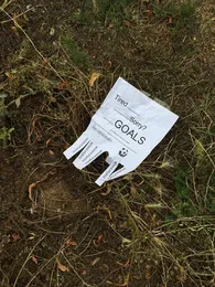 GOALS 001 von GOALS – Album Cover