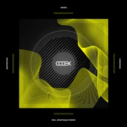 Distortion von DJ Boris – Cover