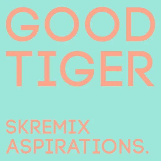 Aspirations (SK remix) von Good Tiger – Cover