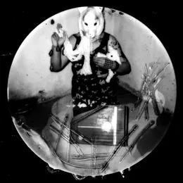The Ghost of a Fox Lives in My Basement von Uncertain – Album Cover
