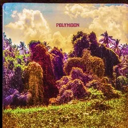Chrysalis von Polymoon – Album Cover