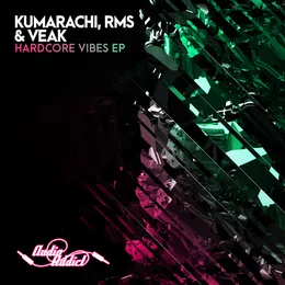 Hardcore Vibes EP von RMS – Cover