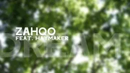 Dream von Haymaker – Album Cover