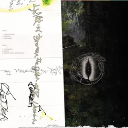 Hovering Between the Seen and the Unseen von Coeden – Cover