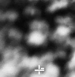 Bubble Chamber von Ena – Album Cover