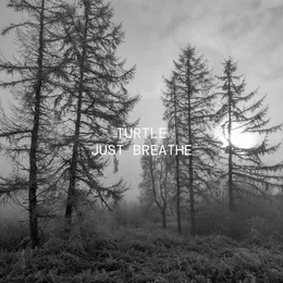 Just Breathe von Turtle – Album Cover