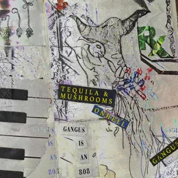 Tequila & Mushrooms von ONHELL – Album Cover