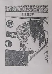Collection:002 von Merzbow – Album Cover