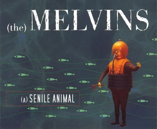 (A) Senile Animal von Melvins – Album Cover