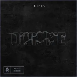 Own Me von Slippy – Album Cover