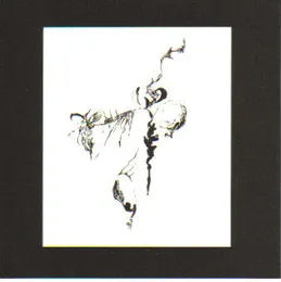 Two Strings Will Do It von 灰野敬二 – Album Cover