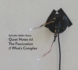 Quiet Notes and the Fascination of What's Complex von Matthias Müller – Cover