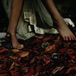 Seeds von E-L-R – Cover