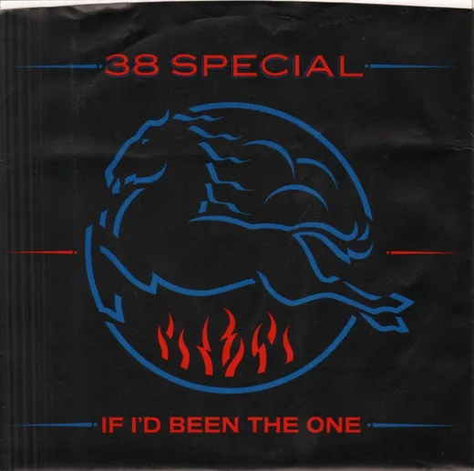If I’d Been the One