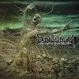 Natural Selection von Dissolution – Album Cover