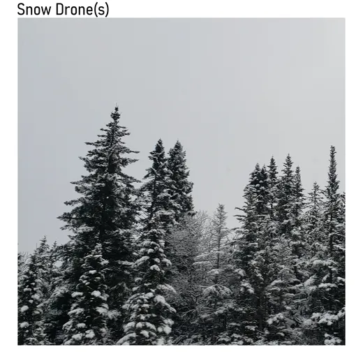 Snow Drone(s)