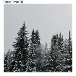 Snow Drone(s) von Omnis – Album Cover