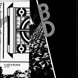 Natty Light von Black Dice – Album Cover