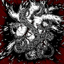 Солнцу von Пламень – Album Cover