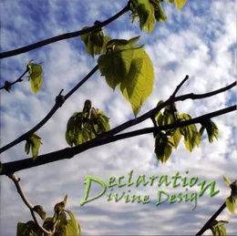 Divine Design von Declaration – Album Cover