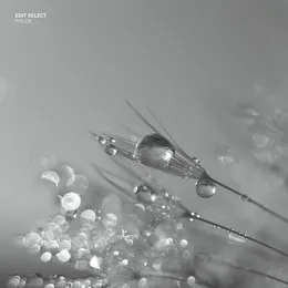Phlox von Edit Select – Album Cover
