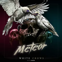White Crows von Meteor – Album Cover
