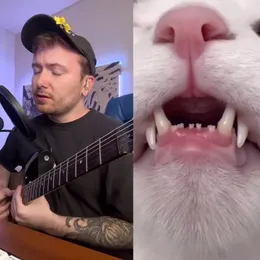 Teeth Don’t Match the Bite von Scro – Cover