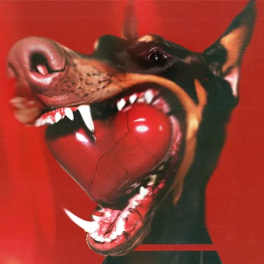 I ♡ YOU BABY!! von Paledusk – Album Cover