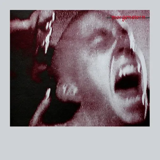 Split von Asche – Album Cover