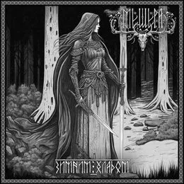 Зимним Хладом von Мещера – Album Cover