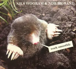 Work Smoothly von Nils Wogram – Album Cover