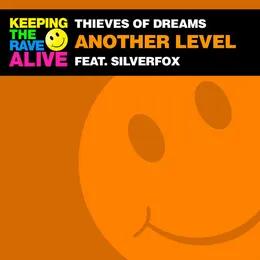Another Level von SilverFox – Cover