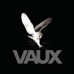 Beyond Virtue, Beyond Vice von Vaux – Album Cover