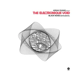 The Electronique Void: Black Noise Instrumentals von Adrian Younge – Album Cover