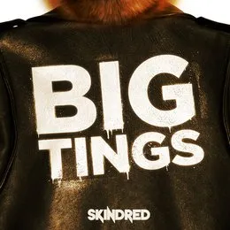 Big Tings von Skindred – Cover