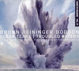 Clear Tears | Troubled Waters von Steven Brown – Album Cover