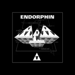 SIN 2 von Endorphin – Cover