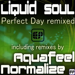 Perfect Day Remixed von Liquid Soul – Album Cover