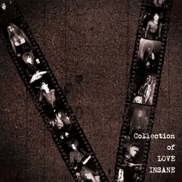 Collection of LOVE INSANE von Vasalla – Cover