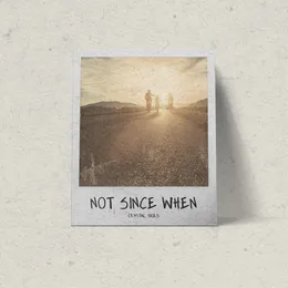 Not Since When von Crystal Skies – Album Cover
