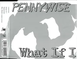 What If I von Pennywise – Cover