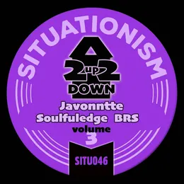 2Up2Down, Vol. 3 von BRS – Cover