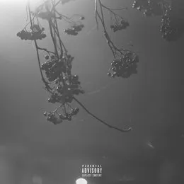 nights von thrown – Album Cover
