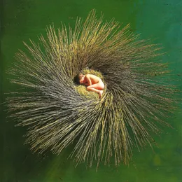 OVO von Peter Gabriel – Album Cover