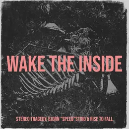 Wake the Inside von Stereo Tragedy – Cover