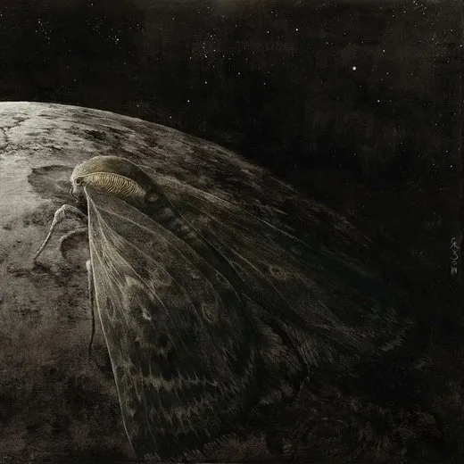 Moth and the Moon