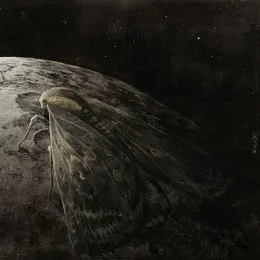 Moth and the Moon von Augrimmer – Album Cover