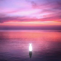 Away von Slow Magic – Cover