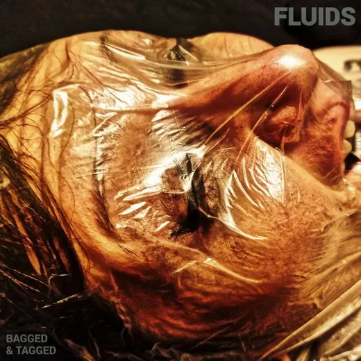 Bagged & Tagged von Fluids – Album Cover